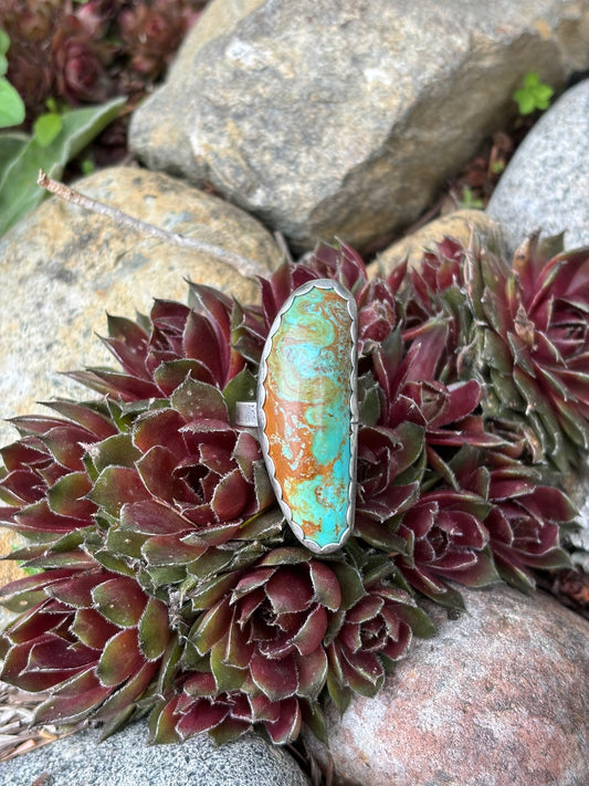 large handmade turquoise stone set in scalloped edge bezel with single band and artist signed on back sitting in a nest of hen and chicks