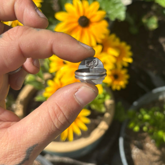 Hand holding a small metallic object with potted plants in the background