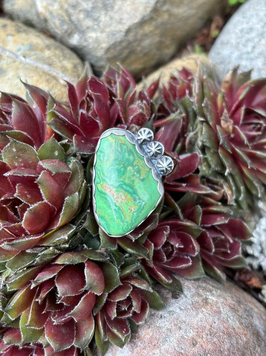 handmade turquoise triple shot ring with scalloped bezel and 3 hammered shots all set on a simple but sturdy silver band. all sterling and fine silver, handmade in the PNW by silver and stoned